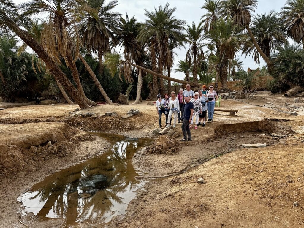 group of peeple in an oasis