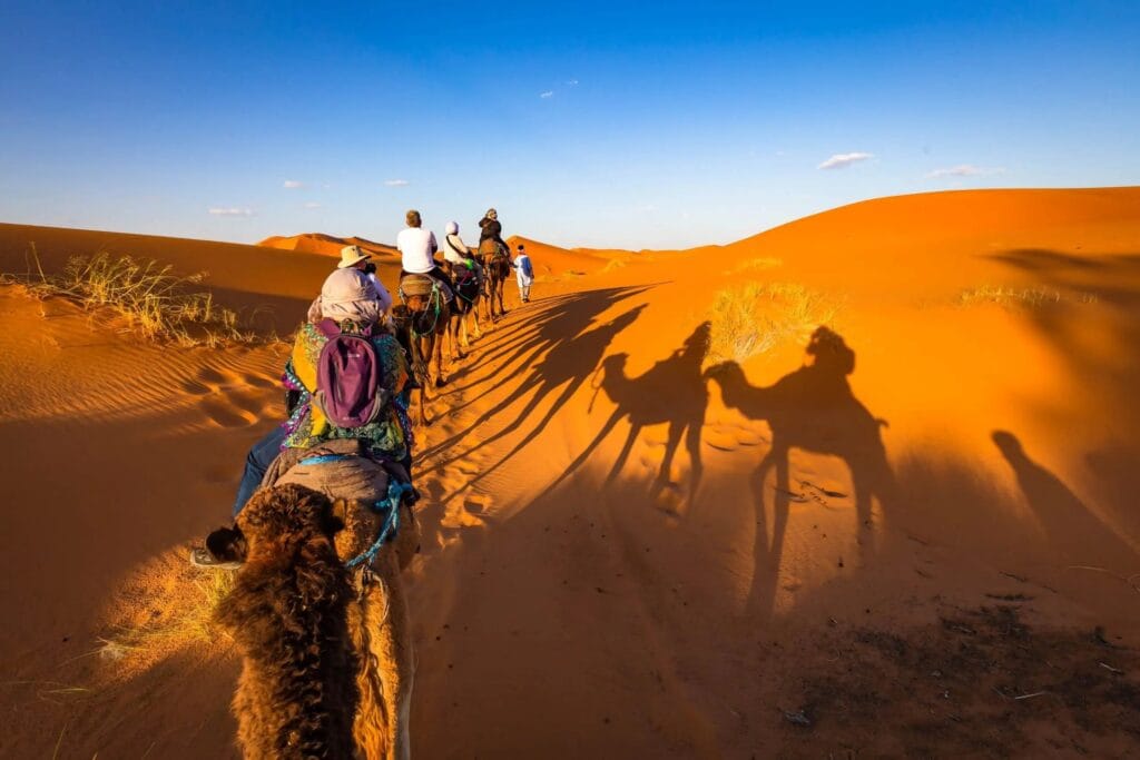 camel ride in the desert