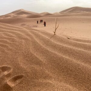 Bertam dunes camel trekking – 3-day desert tour — From Agadir