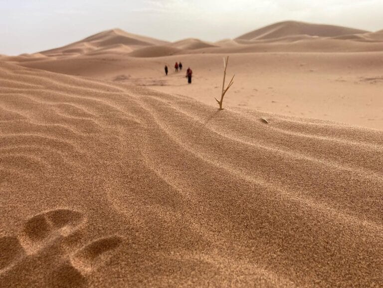 People walking on the sand