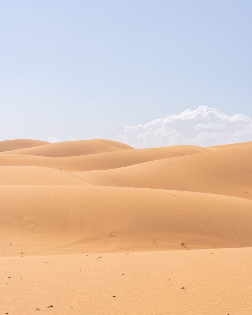Bertam dunes