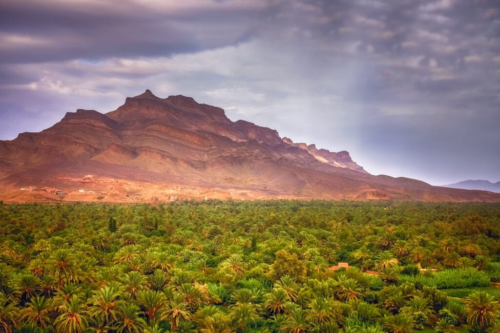 Caravan trails - 8-day southern Morocco tour — Panoramic view of beautiful Draa Valley in