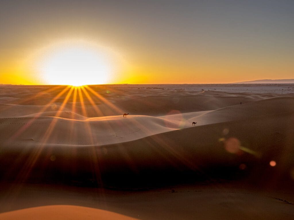 desert sunset
