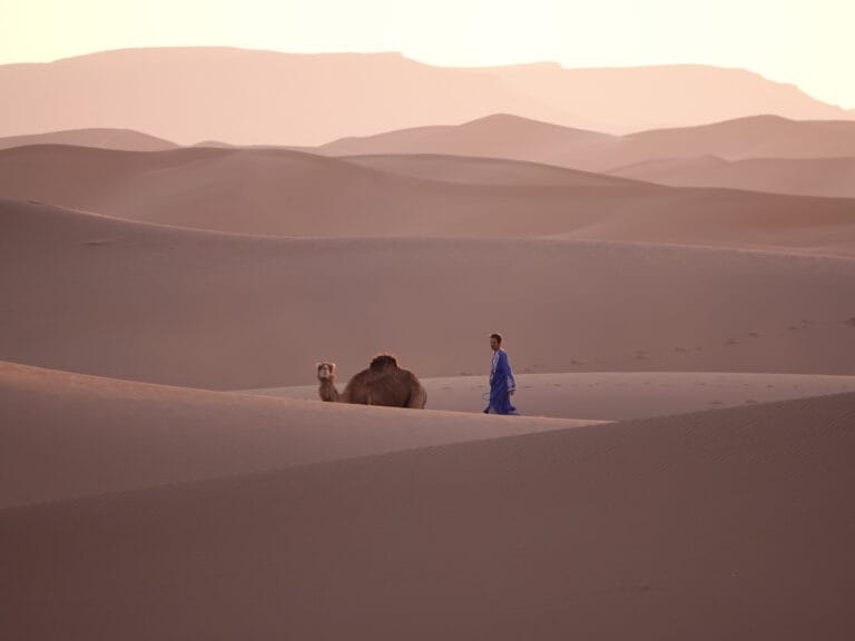 Camel and a nomad in the dunes