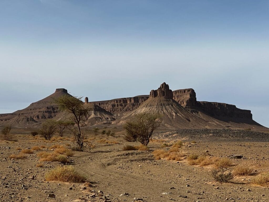Foum Zguid desert (Erg Kingdom)